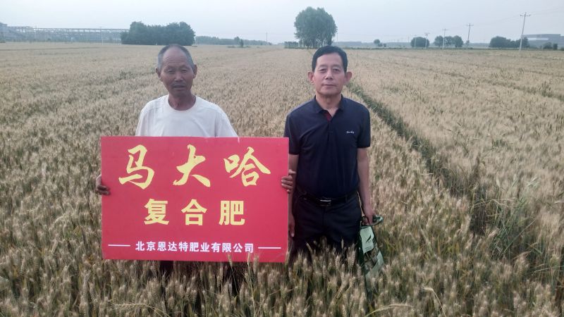 案例见证