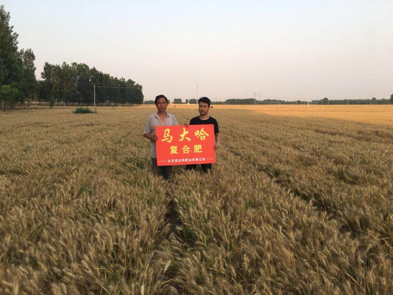 案例见证