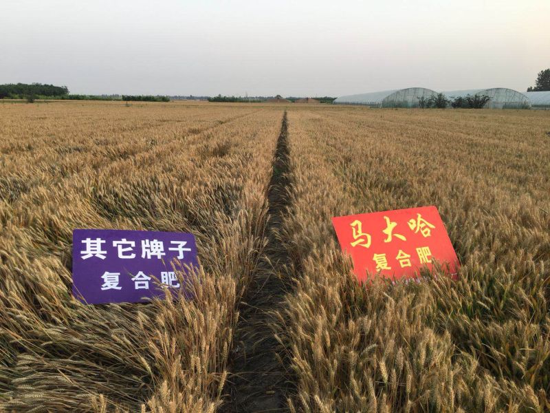 案例见证