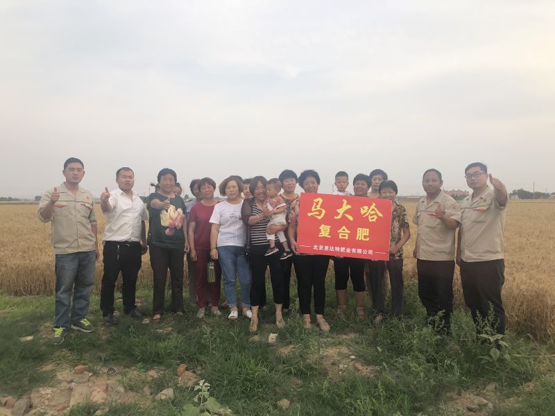 案例见证